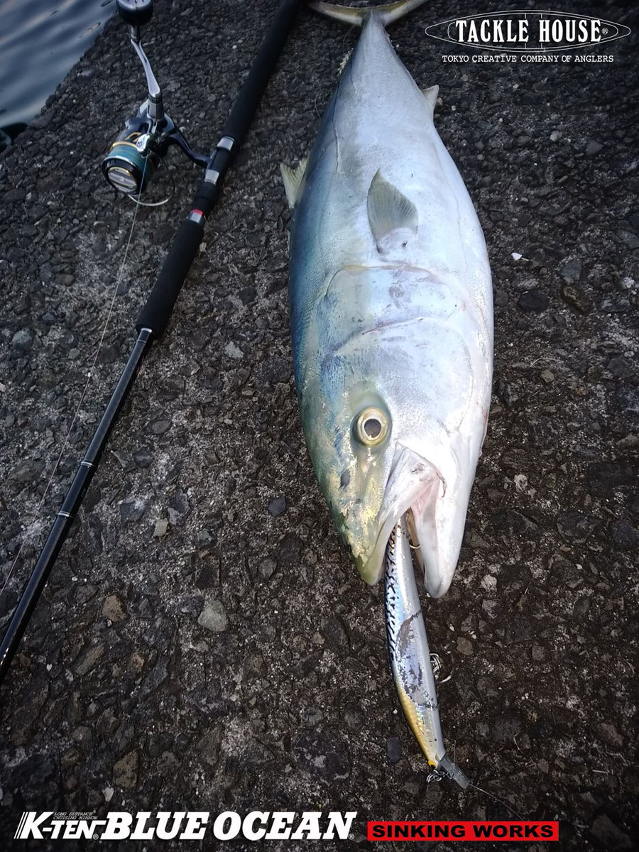 tacklehouse's tweet photo. 鹿児島県の川東様より釣果写真とメッセージを頂いておりましたのでご紹介します。
https://t.co/ZL8WI1DiGE
#タックルハウス #TACKLEHOUSE #鹿児島県 #ブリ #ブルーオーシャン #BK175SW #シンキングワークス #fishing #ルアー #釣り #Lure #KーTEN #kten https://t.co/MU5AmDGoJo