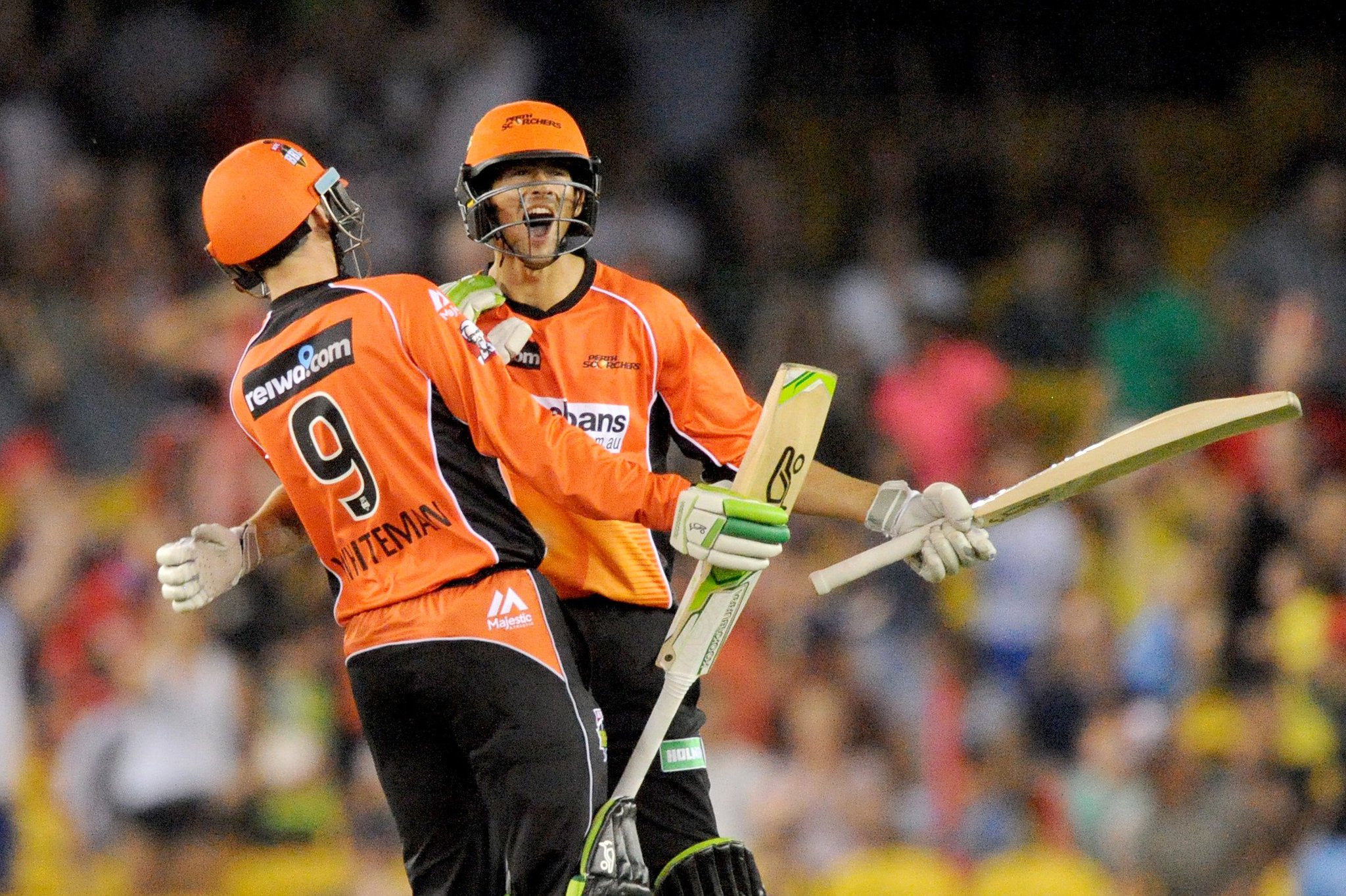 FOX SPORTS Cricket on Twitter "RAISE THE ROOF RenegadesBBL v