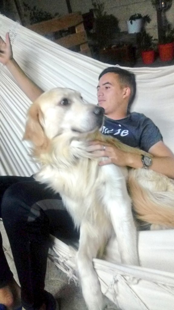 BrisaaRisso's tweet photo. Mis bebes ❤😍 https://t.co/yqi9GevCML