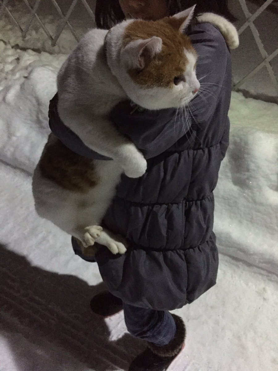捕獲萌え Twitter Search Twitter