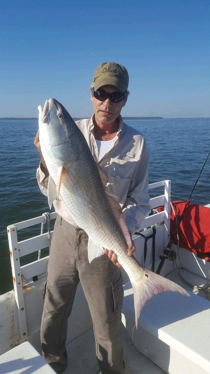 LarryCredle's tweet image. Spring is closer than you think, plan your fishing trip in The Golden Isles of Georgia now. Goldenislesbluedolphintours.com