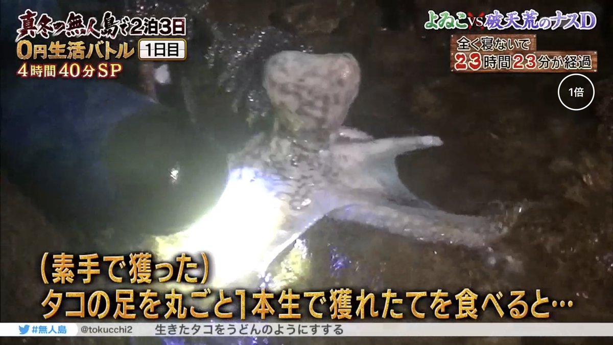 よゐこ 濱口のモリの師匠 テレ朝社員ナスdの無人島サバイバル術がクレイジー過ぎる 2ページ目 Togetter よゐこ 濱口のモリの師匠 テレ朝社員ナスdの無人島サバイバル術がクレイジー過ぎる 2ページ目 Togetter