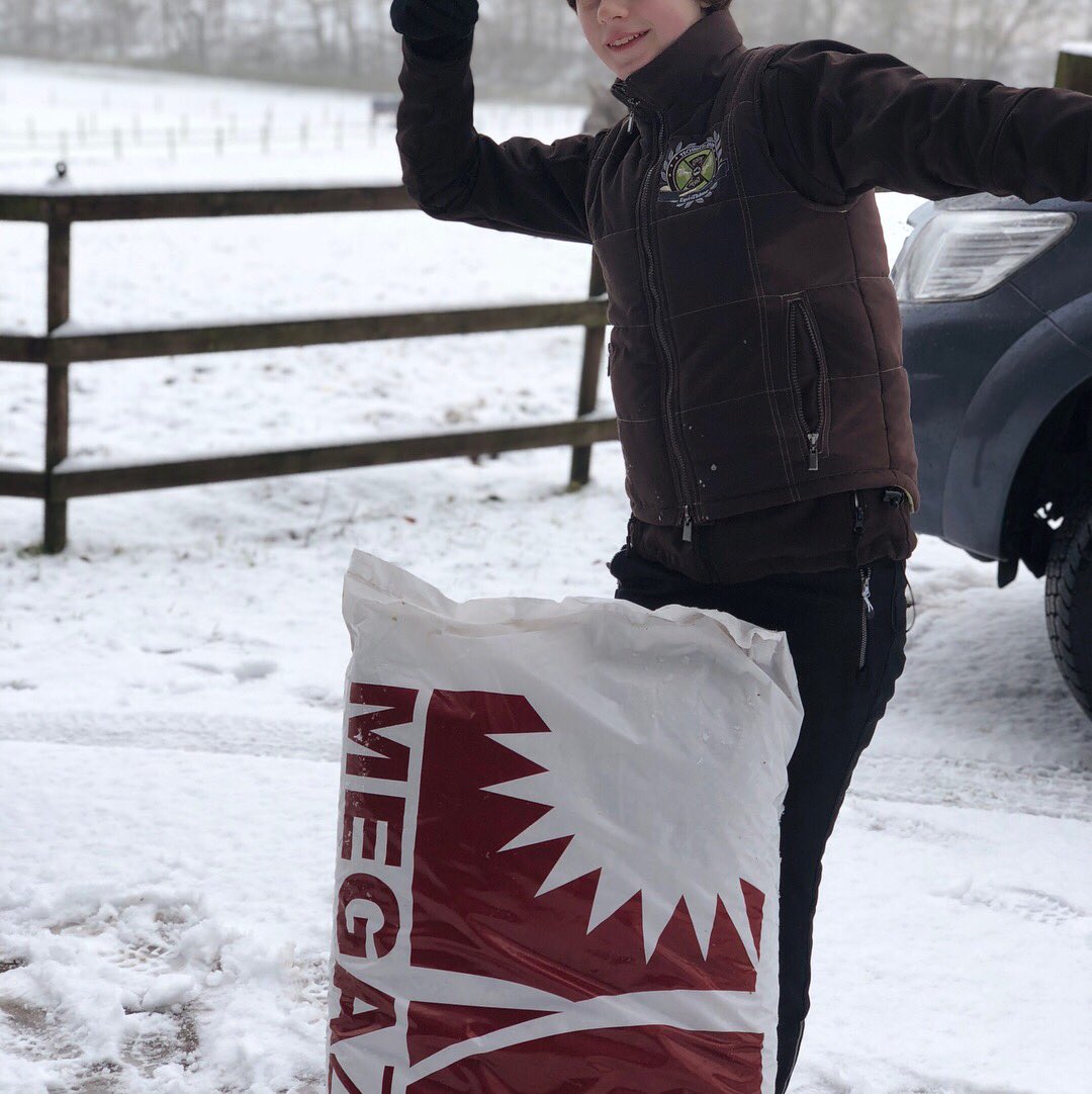 YorkshireEC's tweet photo. Fun in the snow at Yorkshire EC! We sure know how to make full use of Northern Crop Driers Megazorb bedding! #yeclife #liveryfamily #megazorb https://t.co/xdWdkKtTIE