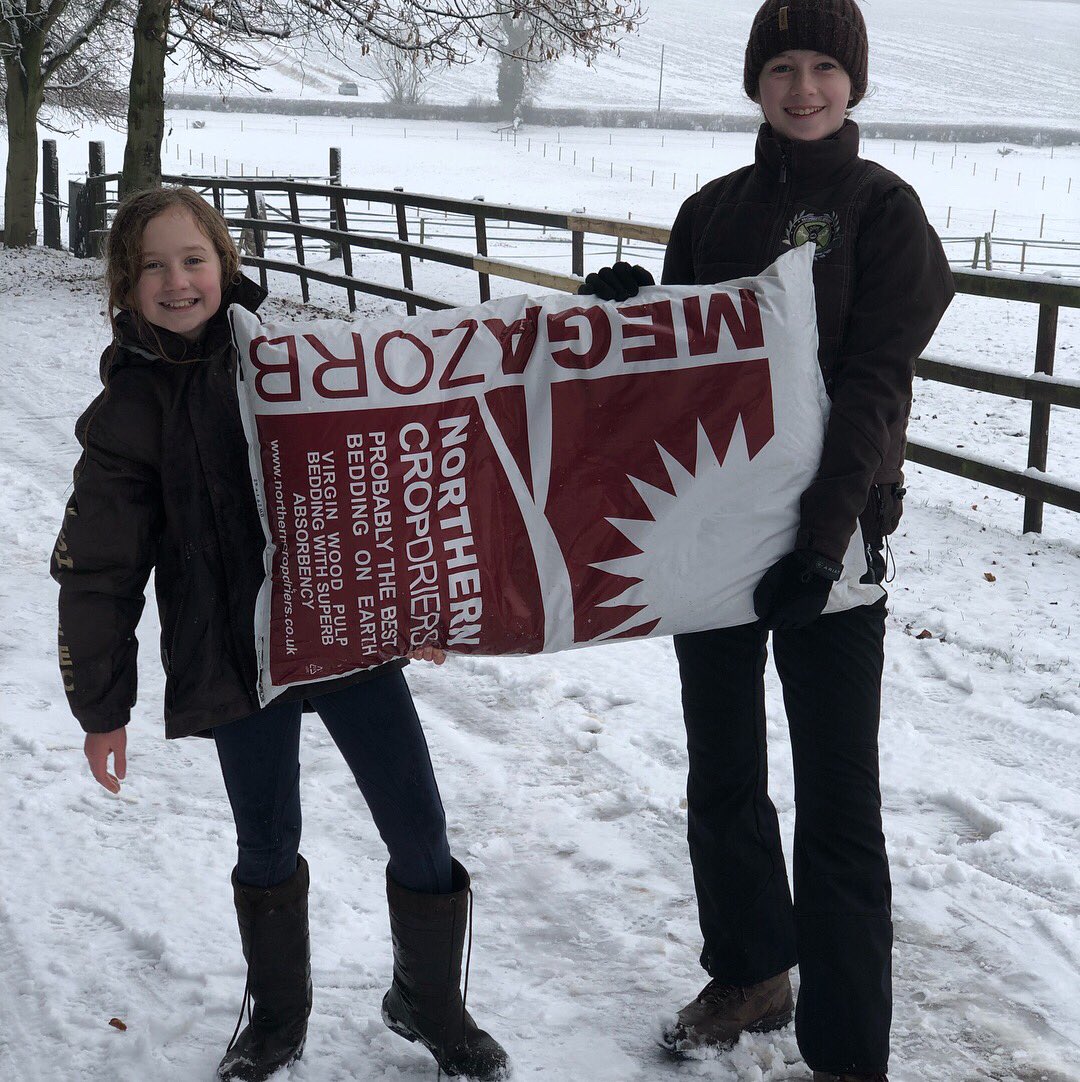 YorkshireEC's tweet photo. Fun in the snow at Yorkshire EC! We sure know how to make full use of Northern Crop Driers Megazorb bedding! #yeclife #liveryfamily #megazorb https://t.co/xdWdkKtTIE
