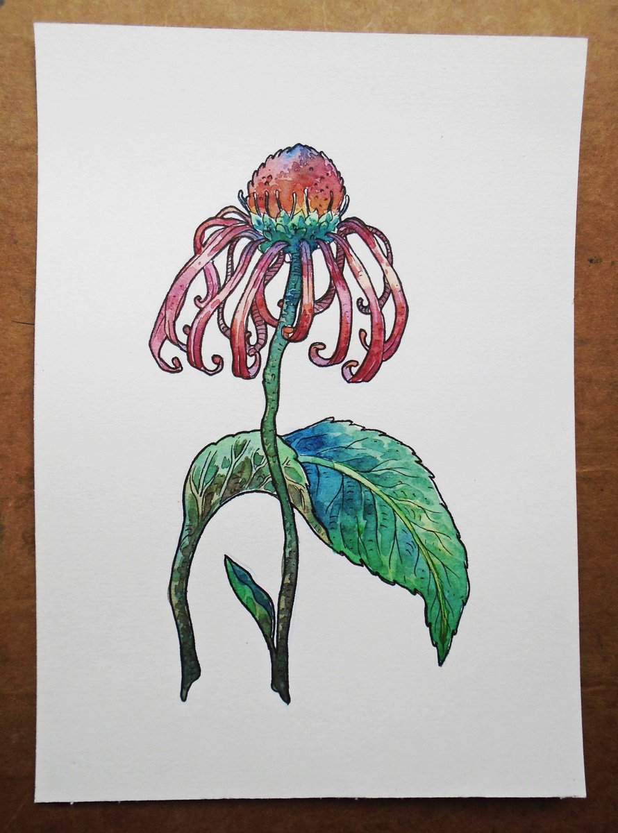 girishmalap's tweet photo. Botanicular Illustrations
 #ByeBye2017 #Throwback #BotanicularIllustrations #GreenLove #Handwork #GirishMalap https://t.co/54P7agjF4n