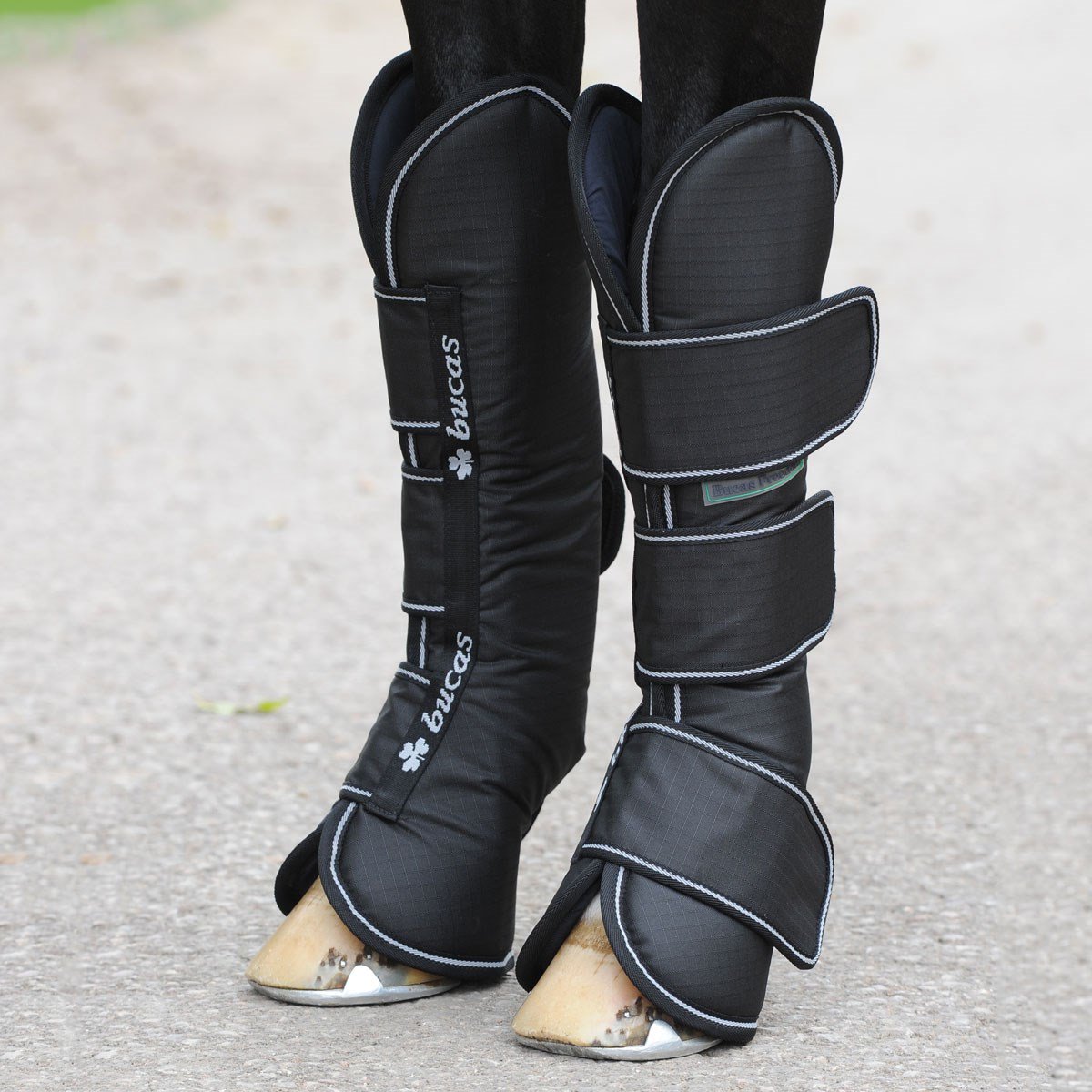 RedpostEq's tweet photo. The Bucas Freedom Travel Boots are now online. These popular boots are available in 3 sizes: https://t.co/d6YszgPUxo #redposteq #new #bucas https://t.co/bw6syjicBm