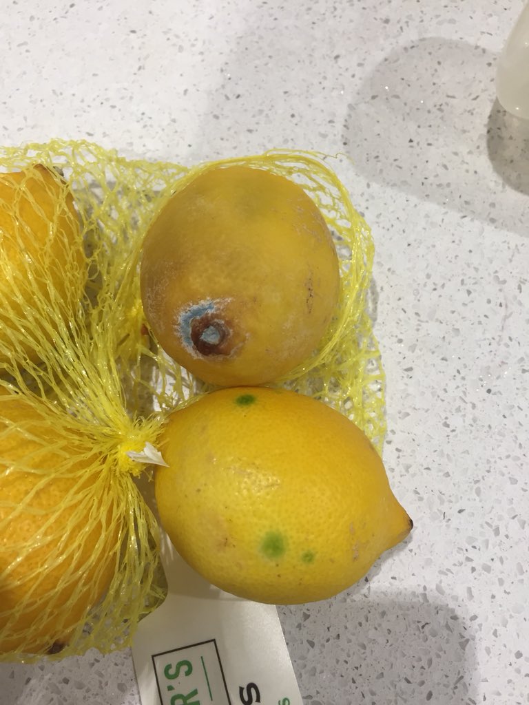 Binksie's tweet image. Lemons I bought yesterday in sell by date, are mouldy...can you help?! @sainsburys #mouldy #sainburys