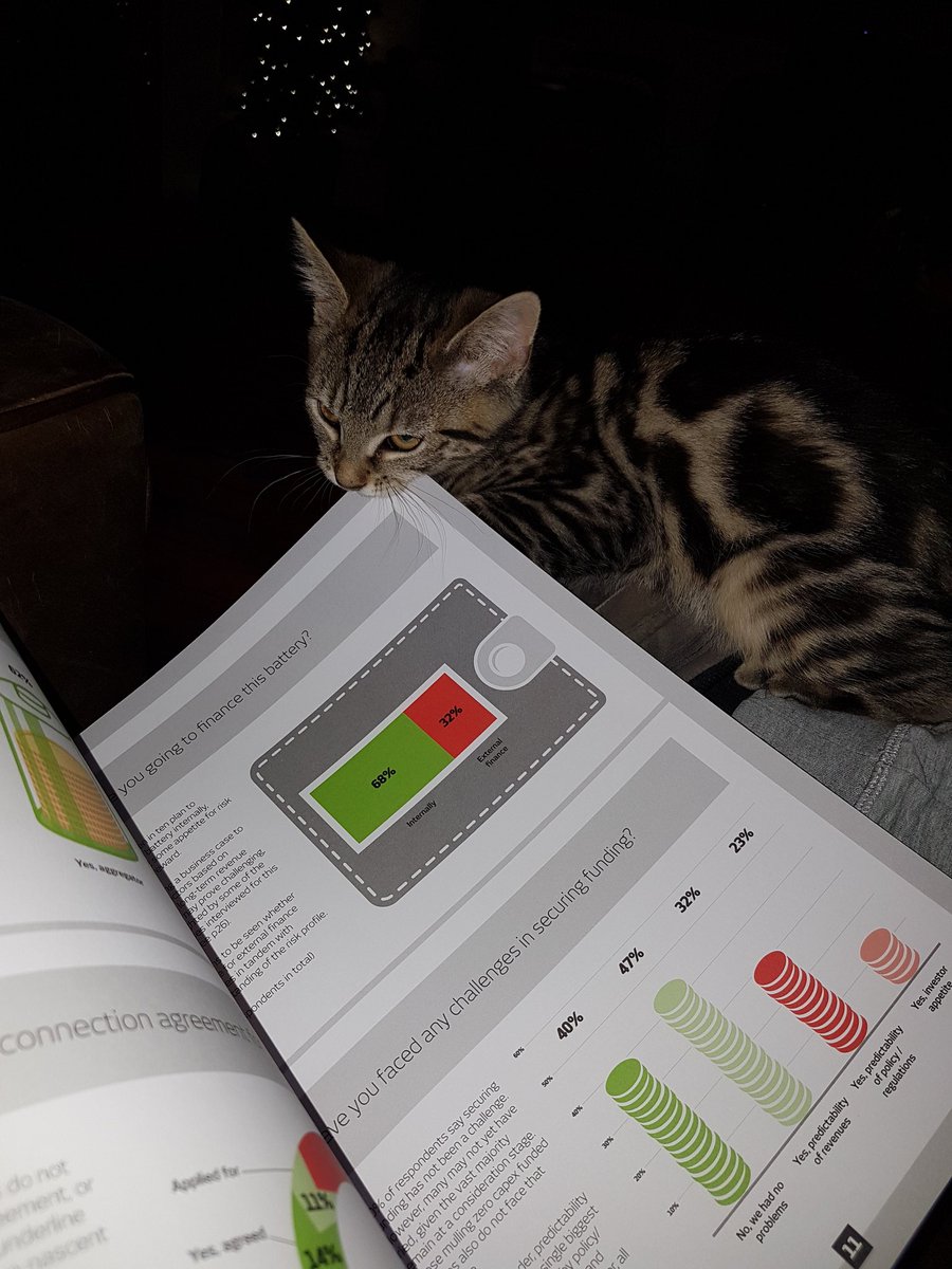 CliqueEnergy's tweet photo. Taking a quiet minute to read over @EnergystMedia battery storage report and now the cat wants a slice of the pie too 😃 #batterystorage #technology https://t.co/QkUuVuTPZK