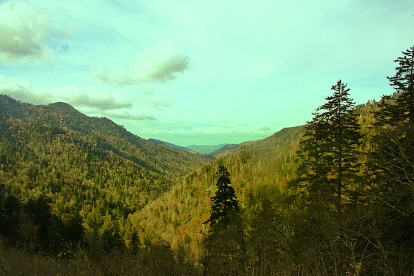 DBPhotos3's tweet photo. New artwork for sale! - "Smokies " - https://t.co/7E6JtrQw29 @fineartamerica https://t.co/3tZjmTWfQ8