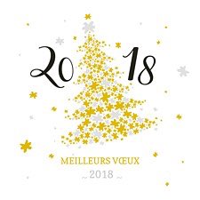 Bonne année la France ! 🇫🇷 Que nos convictions et nos valeurs retrouvent des couleurs et portent le renouveau des idées ! @BrunoRetailleau @ForceRep_fr #BonneAnnee2018 #france