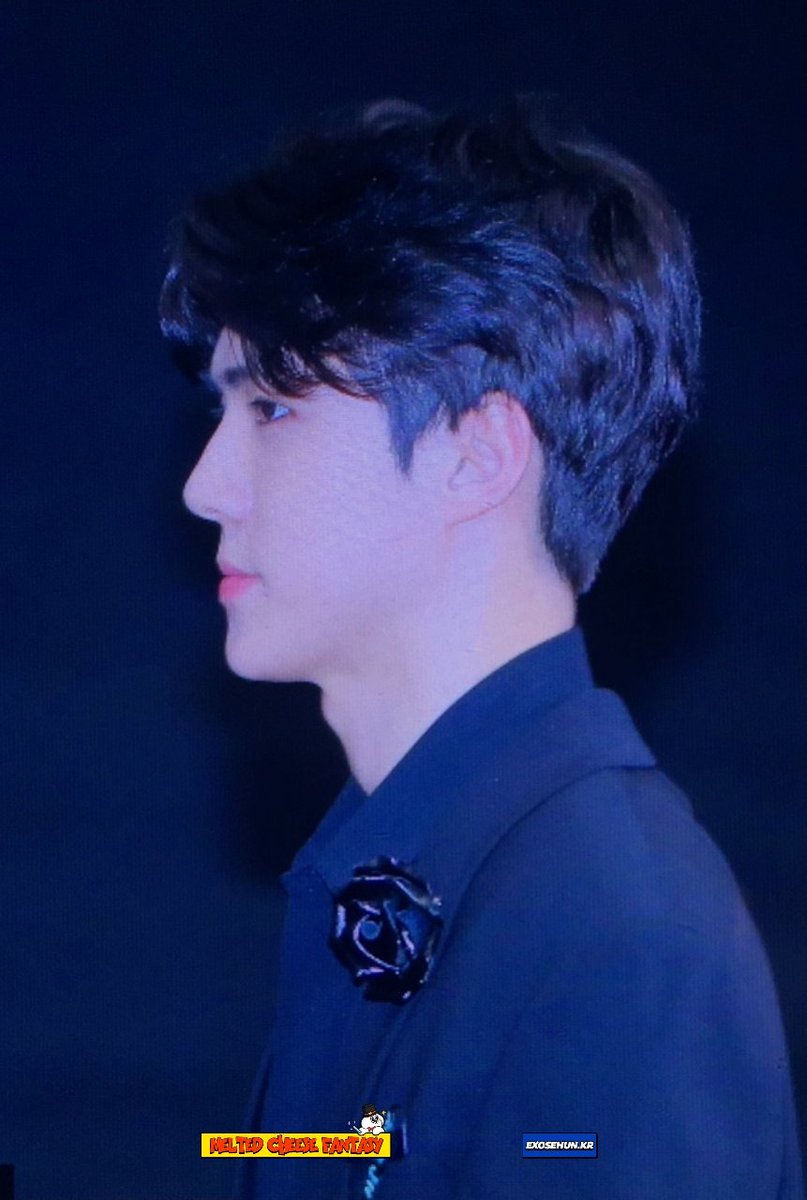 171229 가요대축제 레카 세훈 미모 대다내,,,👏👏👏 어느 각도로 봐도 존잘쓰😭✨