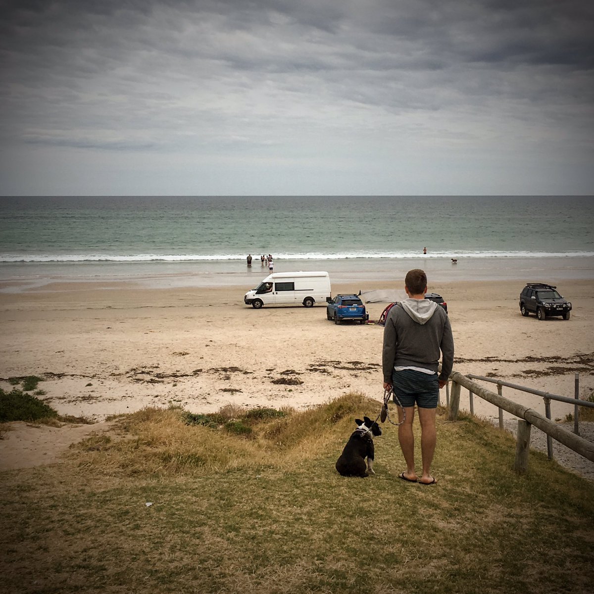 LeakyLucky's tweet photo. I love @southaustralia ❤️ Had the best beach day checking out the southern beaches!! 😎 #leakylucky #southaustralia #Frenchie #FrenchBulldog #australianbeaches #frenchbo #frenchton #beachday https://t.co/70YKp7Tumi