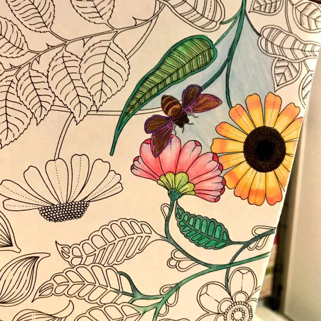 jANE (@jane_chun_) on Twitter photo 