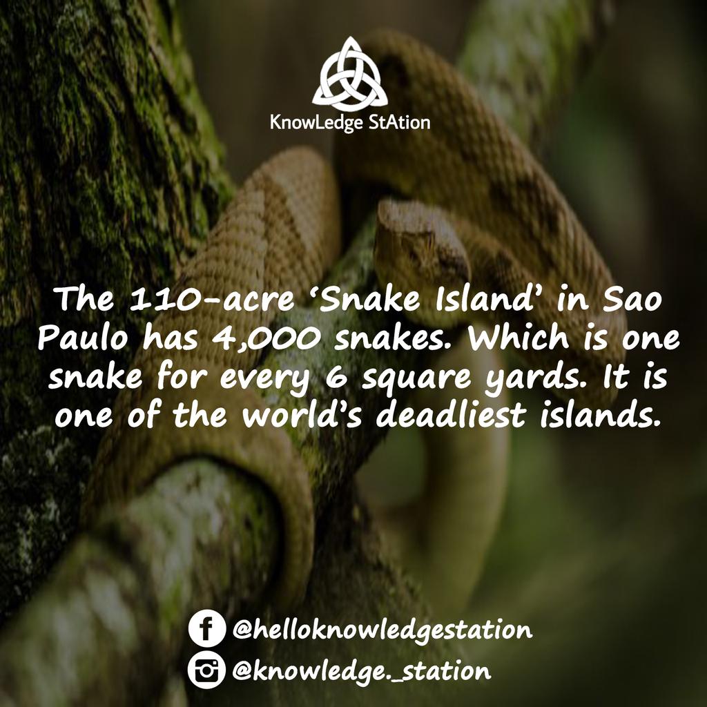 Kn0wledgepage's tweet photo. 💬 👍 #knowledgeispower #knowledgesociety #facts #factsonly #knowledgestation #instafacts #facts✔ #follow4follow https://t.co/NsJv9wzZwO