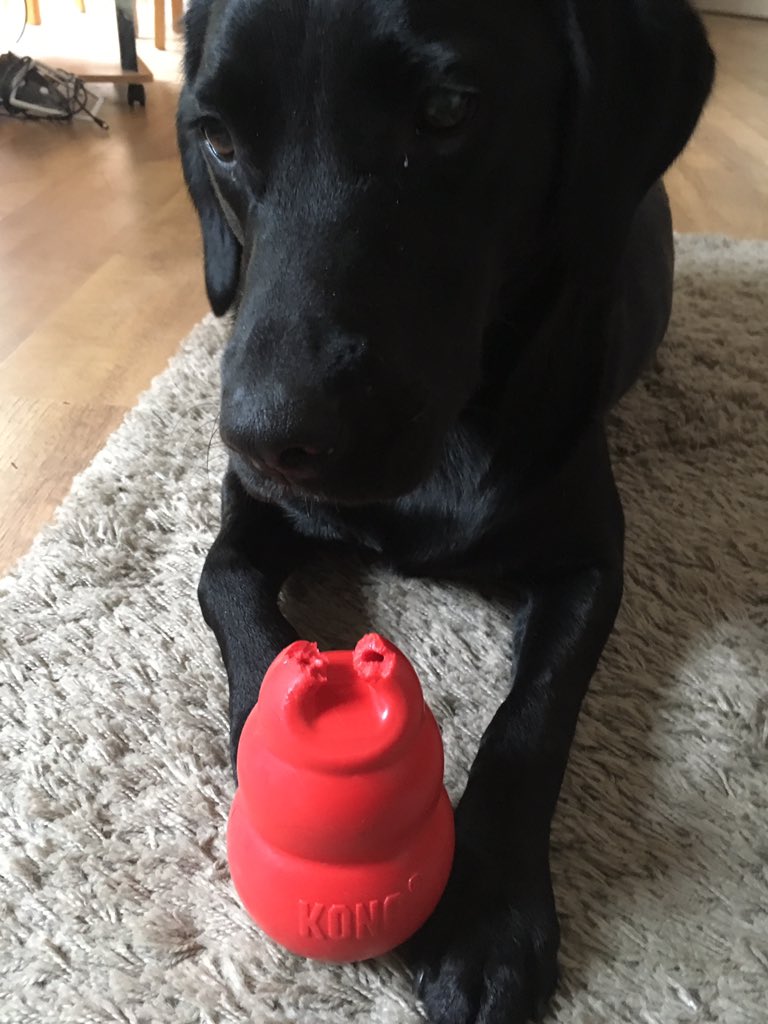 Lucy Willcox tweet media