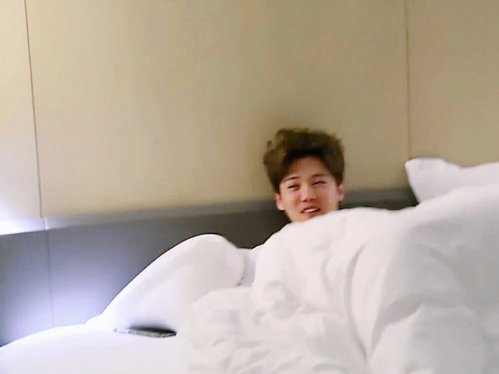 chanluachive's tweet photo. to sleep next to you..hear you breathe while you are sleeping,your heartbeats..we love to sleep next to each other bcs we sleep better https://t.co/0Y8rSTjdTl