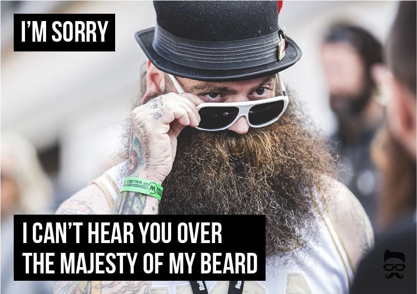 mobrosgrooming's tweet photo. When someone tells you that you should shave โ
#BeardFriday #beard https://t.co/DHjMW3CojB
