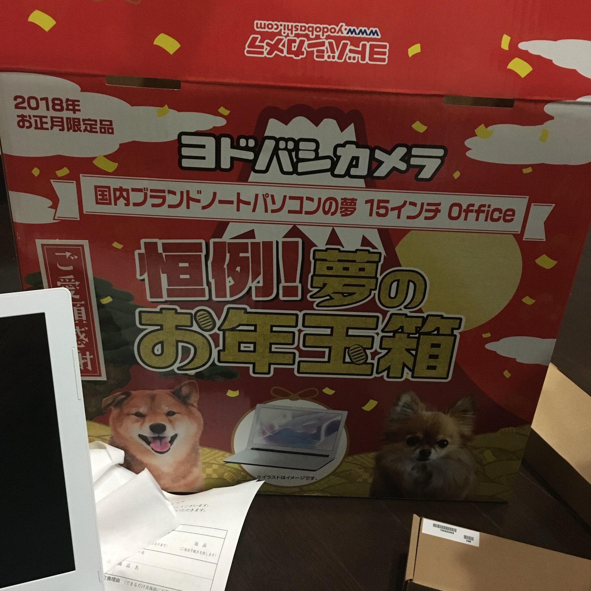 Ayaka ヨドバシの福袋は Nec Lavie Pc Ns100g1wでしたよ 販売終了商品じゃねーか ヨドバシ福袋 T Co 9uelwijc1x Twitter