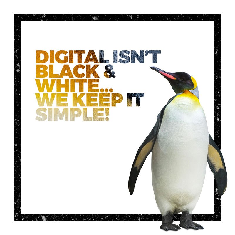 Outstanding_Web's tweet photo. We have the #digital experience to launch your project so you can focus on winning new #business. #outstandingweb #digitalagency #entrepreneur https://t.co/GJEimKuQXF