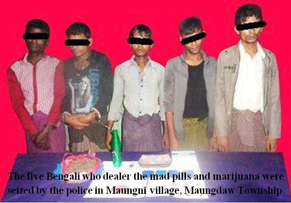 The five Bengali who dealer the mad pills and marijuana were seized by the police in Maungni village, Maungdaw Township.