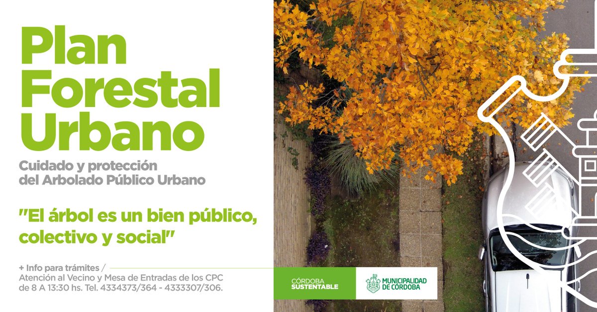 ✅Antes de plantar un árbol no olvides de mirar el Plan Forestal Urbano 🌳 ► bit.ly/2buvXuY