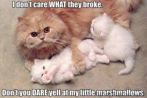 LexPanthor's tweet image. 