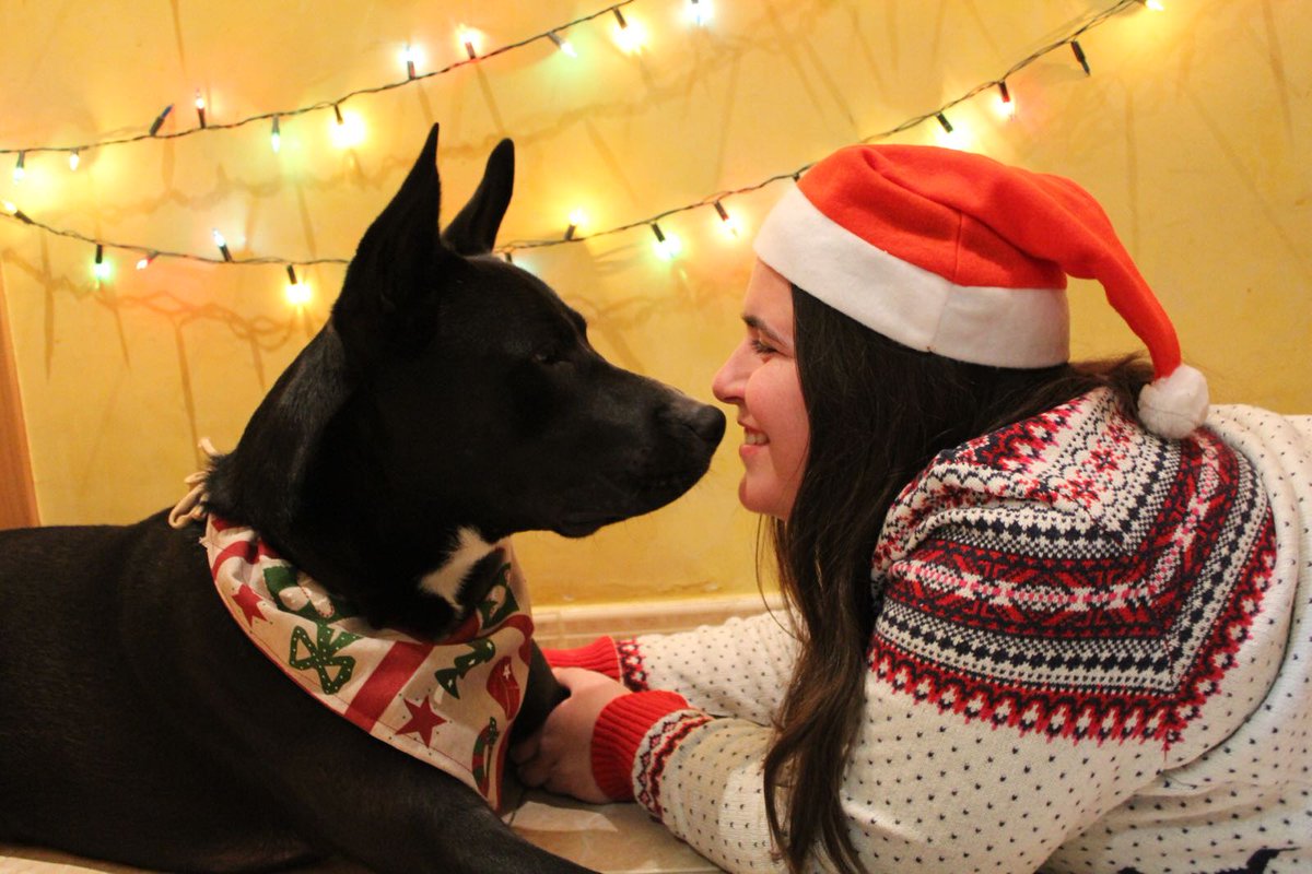 mynameislou_'s tweet photo. @faunusdog #CalendarioDogtimista Navidad en familia https://t.co/c3NwzpHK2o
