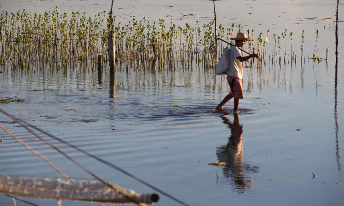 FishNotPlastic's tweet image. From #GhostGear to sustainable luxury - how green strategies can be successful for both business &amp;amp; the planet: interf.ac/2pPWRsE @guardian ft @InterfaceInc