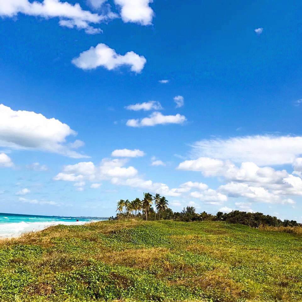 Conch Republic Cup tweet media