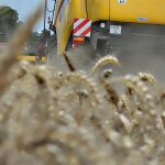 _agroalimentare's tweet photo. #News: Gestione del #rischio in #agricoltura, via libera a #decreto che revisiona la #normativa italiana https://t.co/OoYzt72dsJ #OssAGR https://t.co/72AAnKBkfL