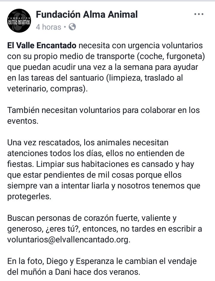 madrid_vegano's tweet photo. 📣 Voluntarios ➡ @elvallencantado necesita con urgencia voluntarios para diferentes tareas. Si puedes colaborar #Madrid #antiespecismo #santuariosdeanimales #vegan 🐾💚 ⬇⬇⬇⬇⬇⬇⬇ https://t.co/y46Vv2uDzX