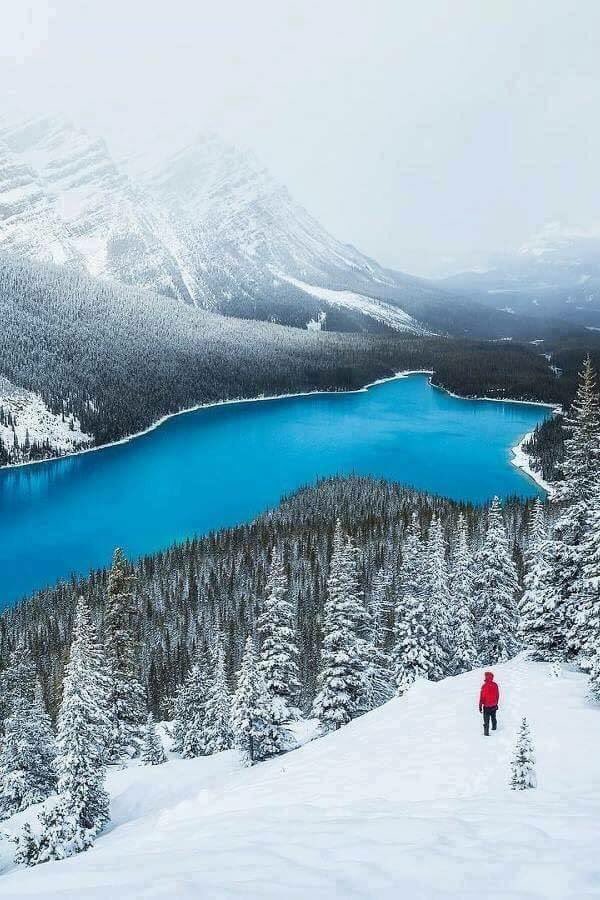 Explorepics_'s tweet image. Peyto lake, Canada