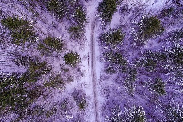 HOVER AVP tweet media