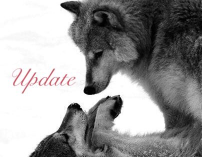 whispersmummy's tweet photo. #MajorWolf https://t.co/u0L8LdI2ys