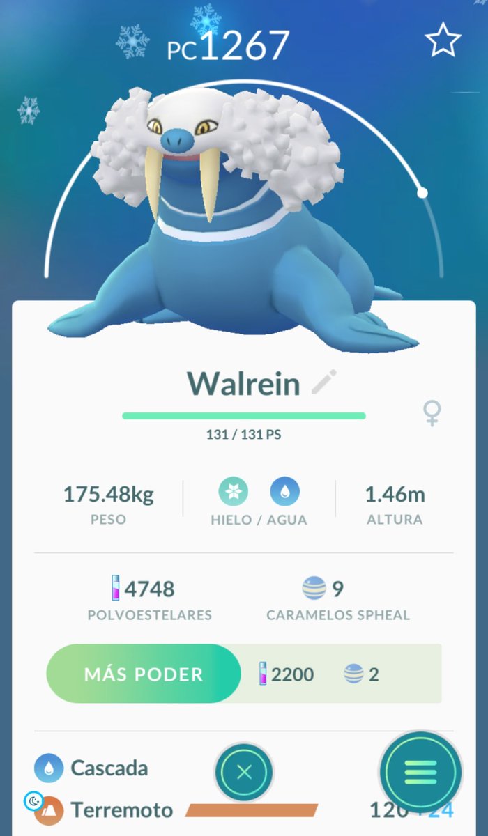 SethRaYT's tweet photo. Me lo bajé nuevamente y esto es algo de lo nuevo que tengo 😂 https://t.co/IVG7IQMERo