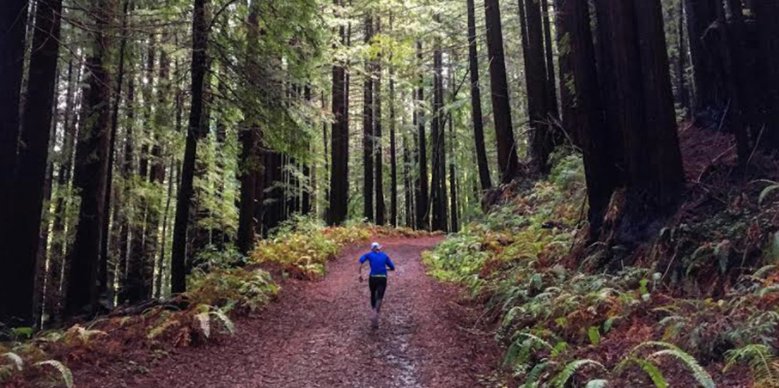 Vasque Trail Running tweet media