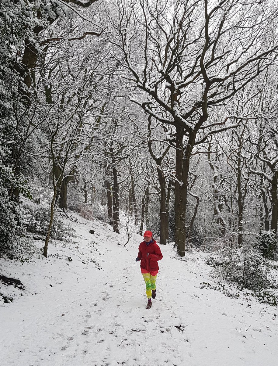 StripeyAnne's tweet photo. Who needs crowded sale shopping? Great run in the quiet woods today #shoppingcanwait #loverunning @Womensrunninguk https://t.co/HkDbnQL4N0