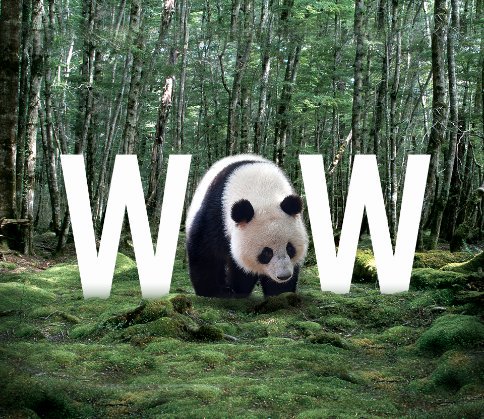 WWF_Kenya's tweet photo. We celebrated being on the forefront of the Kenyan conservation journey for over 50 years & in October 2016 was registered as a local NGO! #WWF2017Recap https://t.co/W0bpn0sk4f