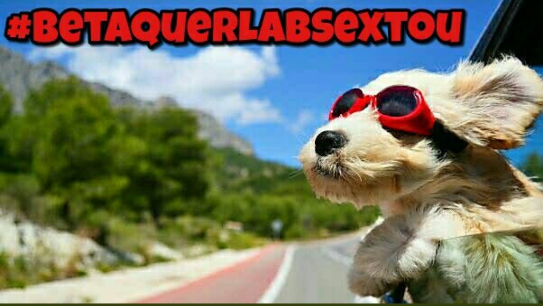 fael_luis33's tweet photo. Sextou Betas!!!
#BetaQuerLab #BetaQuerLabSextou https://t.co/2MguYO67jY