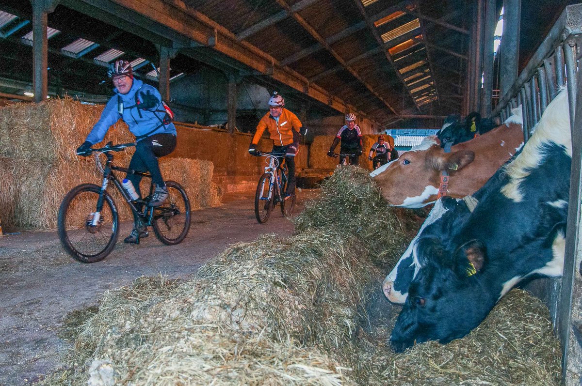 wvholten's tweet photo. Op zondag 7 januari staat wederom onze Beemd- en Bergtoer #veldtoertocht met onder andere een doorkomst in de koeienstal van de fam. Schutte in de buurtschap #Beuseberg op het programma! #Holten #mijntoertocht https://t.co/EPQzqDCakB