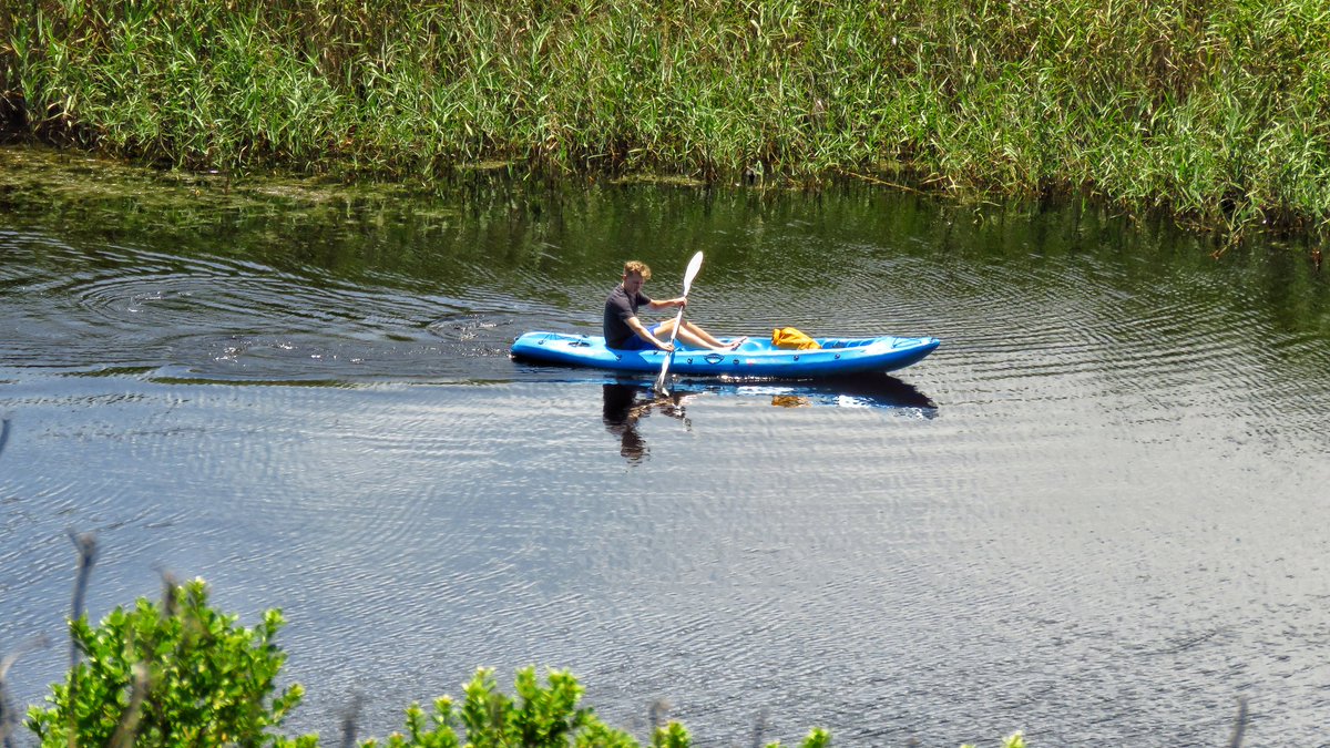 Garden Route SA tweet media