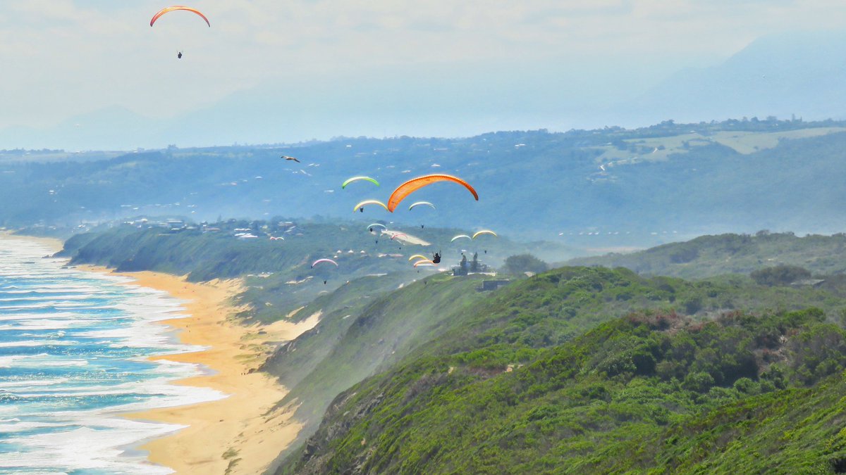 Garden Route SA tweet media