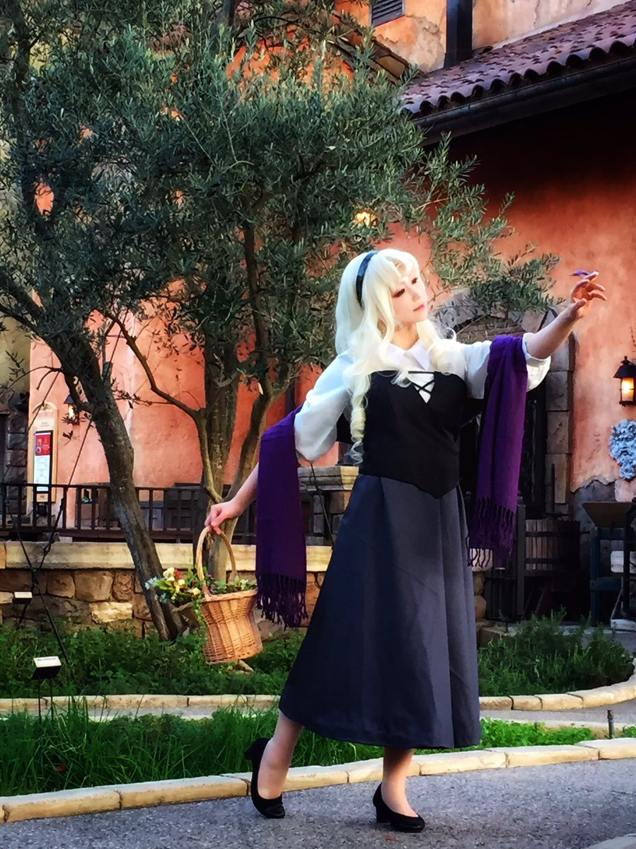 なみね ーあなたをいつも夢に見て その瞳さえとても懐かしいー Disneyprincess 眠れる森の美女 オーロラ姫 コスプレ