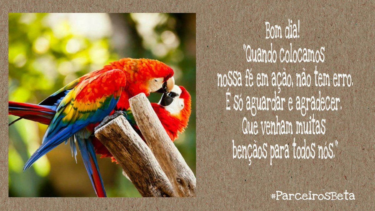 #PARCEIROSBETA 
<a href="/parceirosbeta/">#PARCEIROSBETA OFICI</a>