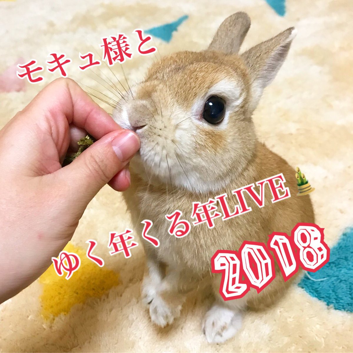 モキュ様のおかん En Twitter Instagramで モキュ様とゆく年くる年 年越しlive を開催予定です 楽しいプレゼント企画も予定してるので ぜひ Instagramのうさぎのモキュ様をフォローしてね W T Co Ncchiawfno T Co Gtyrcqrxnm モキュ様のおかん En Twitter Instagramで モキュ様とゆく年くる年 年越しlive を開催予定です 楽しいプレゼント企画も予定してるので ぜひ Instagramのうさぎのモキュ様をフォローしてね W T Co Ncchiawfno T Co Gtyrcqrxnm