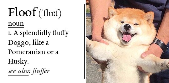 KoolSkinz's tweet photo. Do you know the difference between a #bork, a #boof, and a #boop? How about a #woofer, a #floofer, and a wrinkler? If not, now is the perfect time to learn some #DoggoLingo! https://t.co/w2GWEUnbI4 https://t.co/H1SRn7xWul