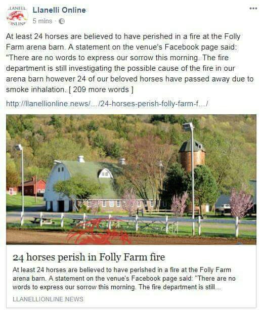 WeWildlifewatch's tweet photo. #WrongCountry #OMG #MediaGoneBad @llanellionline  At least look into Stories! #Horses #News #Media @IMPRESS  #Wales #America @Media_Trust  @medianewssource @W_M_A  @BBCBreaking https://t.co/ILKtWME56O
