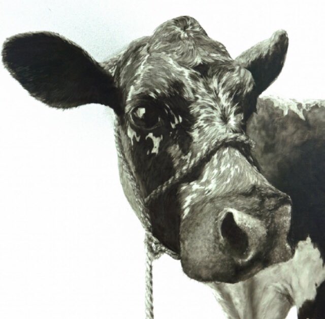 ditchlingbull's tweet photo. The beautiful work of local artist John Marshall @TwoKatsandaCow and his work “Peregine”. I have loved and admired John’s work for nearly 20 years. It was worth the wait to buy our first piece, which now takes centre stage in the new dining room #wowcow #Brighton #Artist #Sussex https://t.co/LbZTS5meQb