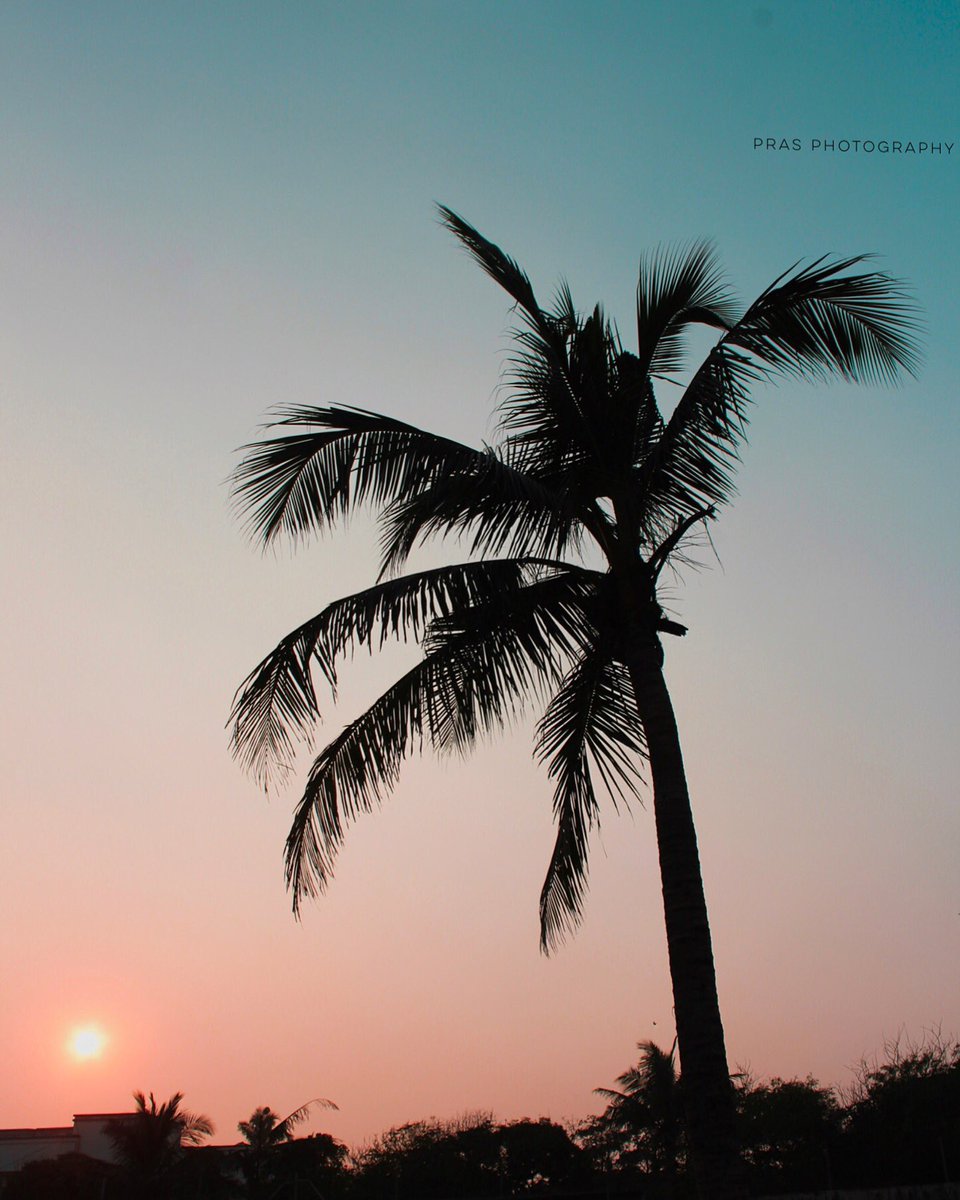 PhotographyPras's tweet photo. Friday evenings! @pcsreeram @chennaiweather @ChennaiRains #prasphotography https://t.co/yTYSjcS0NV