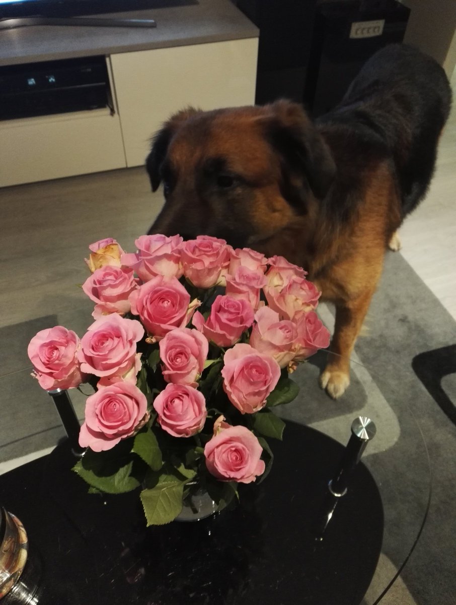 JenniLustig's tweet photo. "Työviikko" ohi. 🌸 Mukavat kaks päivää pienellä miehityksellä 😊 #lakko #onenordeateam #ownership #collaboration https://t.co/DEfvM0hR6b